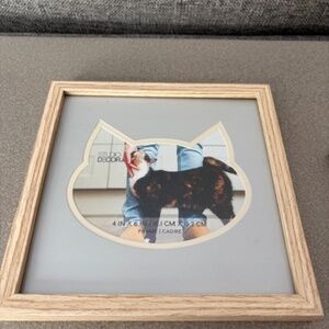 Cat frames
